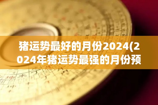 猪运势最好的月份2024(2024年猪运势最强的月份预测)