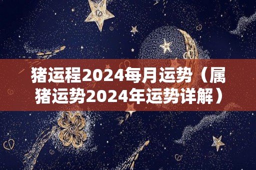 猪运程2024每月运势（属猪运势2024年运势详解）