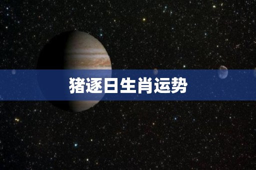 猪逐日生肖运势