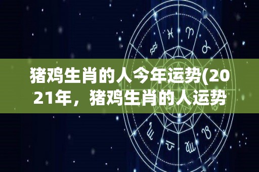 猪鸡生肖的人今年运势(2021年，猪鸡生肖的人运势展现大收获)