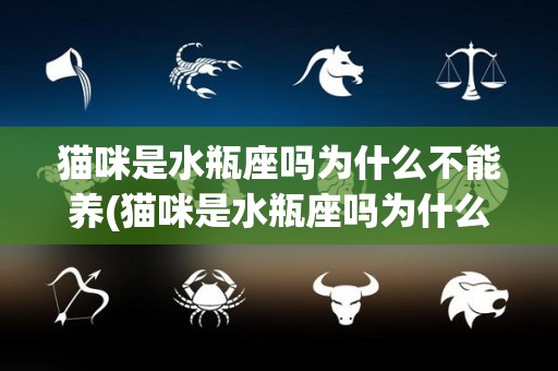 猫咪是水瓶座吗为什么不能养(猫咪是水瓶座吗为什么不能养呢)