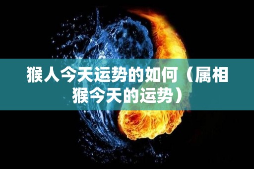 猴人今天运势的如何（属相猴今天的运势）