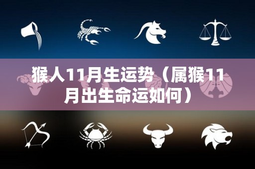 猴人11月生运势（属猴11月出生命运如何）
