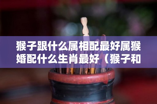 猴子跟什么属相配最好属猴婚配什么生肖最好（猴子和什么属相相配）