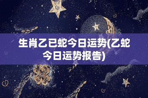 生肖乙已蛇今日运势(乙蛇今日运势报告)