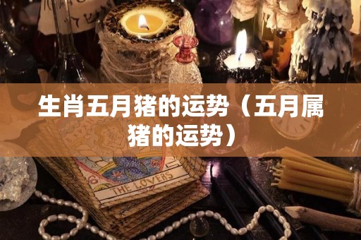 生肖五月猪的运势（五月属猪的运势）