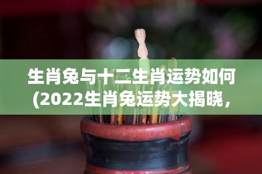 生肖兔与十二生肖运势如何(2022生肖兔运势大揭晓，事业财运大爆发！)