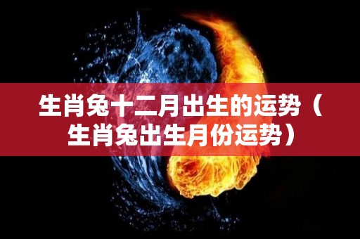 生肖兔十二月出生的运势（生肖兔出生月份运势）