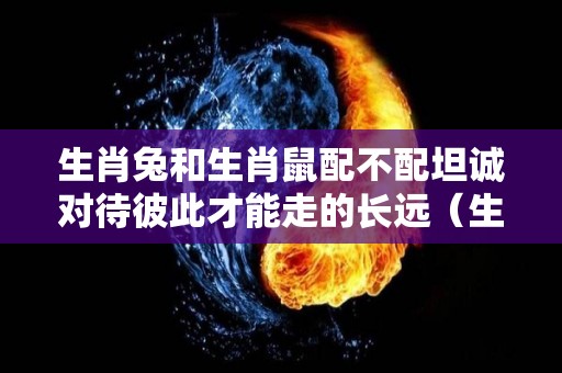 生肖兔和生肖鼠配不配坦诚对待彼此才能走的长远（生肖兔和生肖鼠相克吗）
