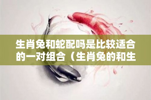 生肖兔和蛇配吗是比较适合的一对组合（生肖兔的和生肖蛇的合适吗）
