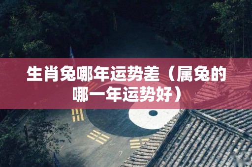 生肖兔哪年运势差（属兔的哪一年运势好）