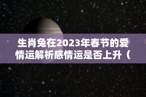 生肖兔在2023年春节的爱情运解析感情运是否上升（属兔在2023年婚姻怎么样）