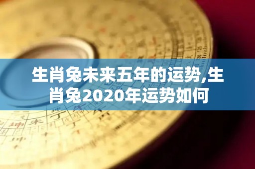 生肖兔未来五年的运势,生肖兔2020年运势如何