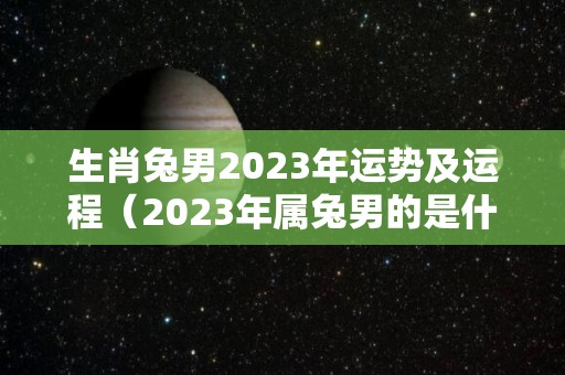 生肖兔男2023年运势及运程（2023年属兔男的是什么命）