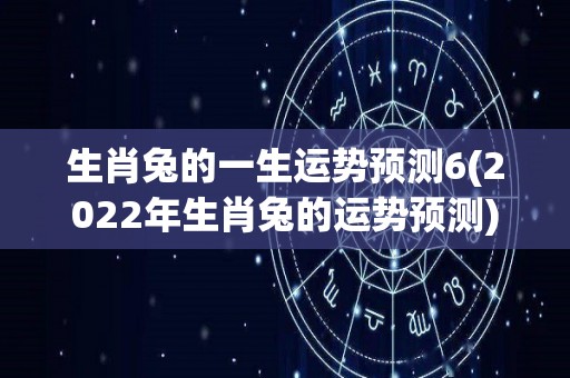 生肖兔的一生运势预测6(2022年生肖兔的运势预测)