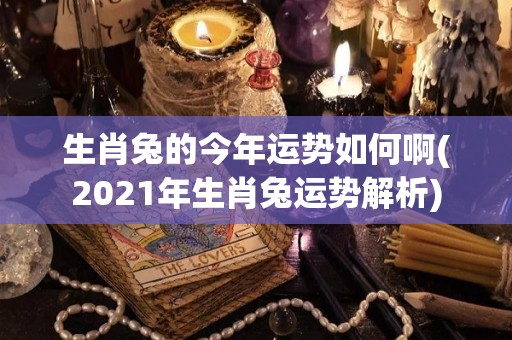 生肖兔的今年运势如何啊(2021年生肖兔运势解析)