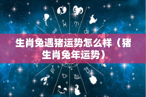 生肖兔遇猪运势怎么样（猪生肖兔年运势）