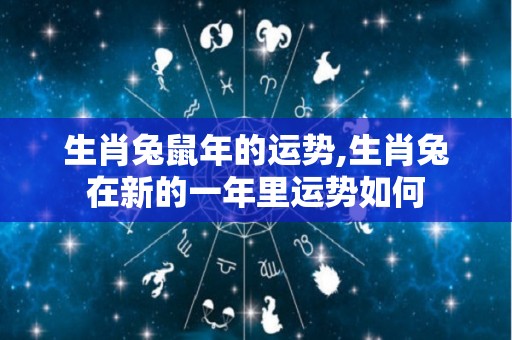 生肖兔鼠年的运势,生肖兔在新的一年里运势如何