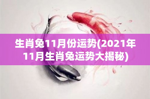 生肖兔11月份运势(2021年11月生肖兔运势大揭秘)