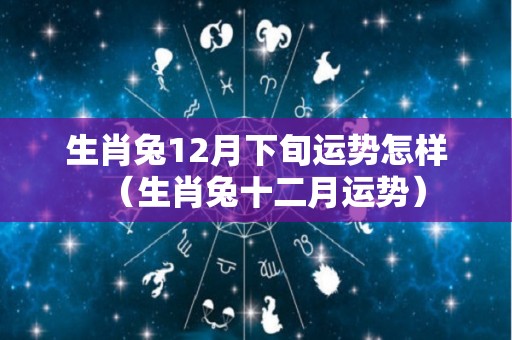 生肖兔12月下旬运势怎样（生肖兔十二月运势）