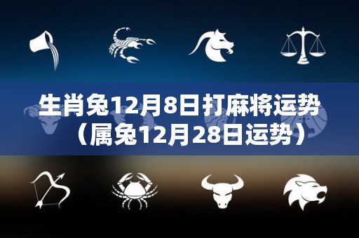 生肖兔12月8日打麻将运势（属兔12月28日运势）
