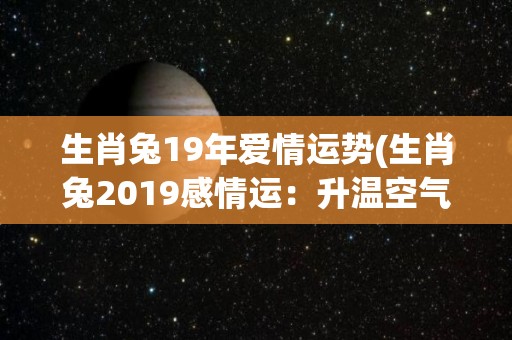 生肖兔19年爱情运势(生肖兔2019感情运：升温空气甜美)