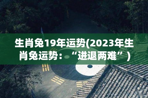 生肖兔19年运势(2023年生肖兔运势：“进退两难”)