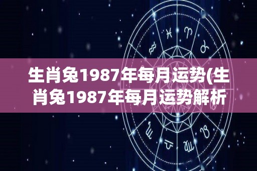 生肖兔1987年每月运势(生肖兔1987年每月运势解析)