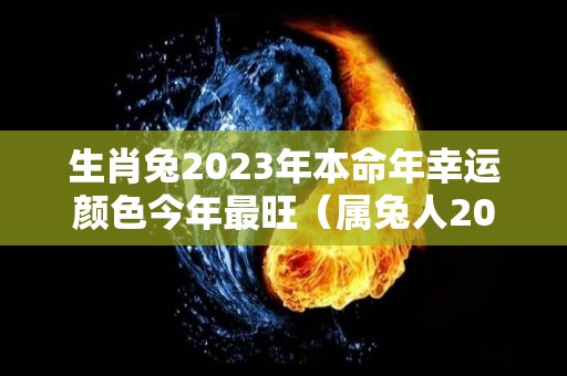 生肖兔2023年本命年幸运颜色今年最旺（属兔人2023年本命年）