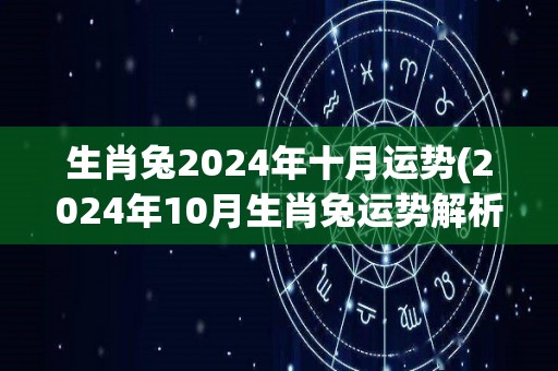 生肖兔2024年十月运势(2024年10月生肖兔运势解析)