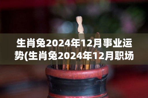 生肖兔2024年12月事业运势(生肖兔2024年12月职场运势解析)