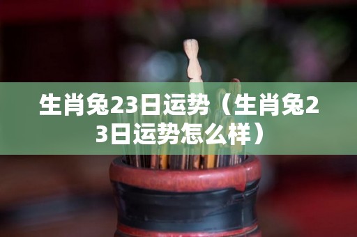 生肖兔23日运势（生肖兔23日运势怎么样）