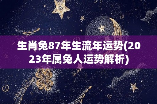 生肖兔87年生流年运势(2023年属兔人运势解析)