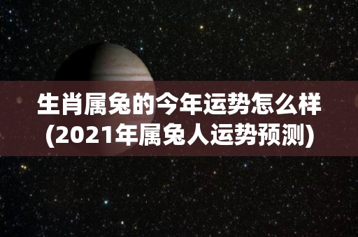 生肖属兔的今年运势怎么样(2021年属兔人运势预测)