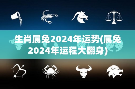 生肖属兔2024年运势(属兔2024年运程大翻身)