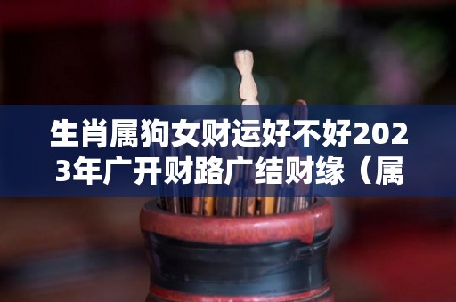 生肖属狗女财运好不好2023年广开财路广结财缘（属狗女在2022年怎么样）