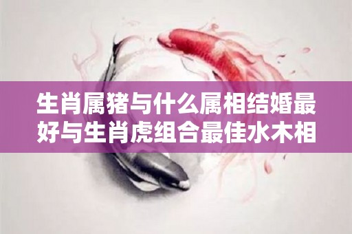 生肖属猪与什么属相结婚最好与生肖虎组合最佳水木相生（属猪和什么属相结婚好）