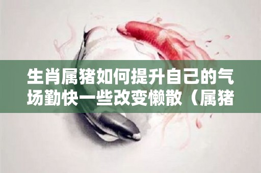 生肖属猪如何提升自己的气场勤快一些改变懒散（属猪的怎样改变命运和运气）