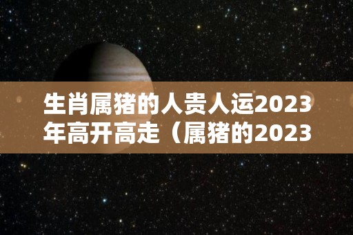 生肖属猪的人贵人运2023年高开高走（属猪的2023运势）