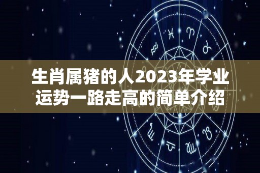 生肖属猪的人2023年学业运势一路走高的简单介绍