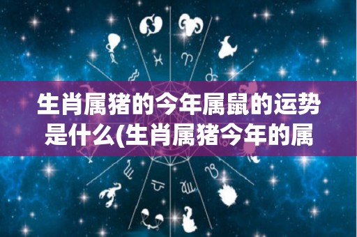生肖属猪的今年属鼠的运势是什么(生肖属猪今年的属鼠运势如何？)