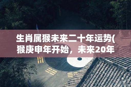 生肖属猴未来二十年运势(猴庚申年开始，未来20年运势大揭秘！)