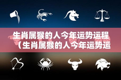 生肖属猴的人今年运势运程（生肖属猴的人今年运势运程如何）