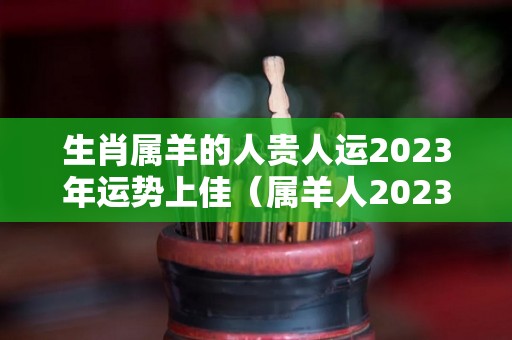 生肖属羊的人贵人运2023年运势上佳（属羊人2023运势详解）