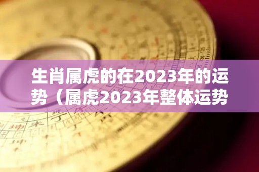 生肖属虎的在2023年的运势（属虎2023年整体运势）