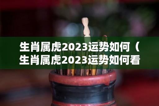 生肖属虎2023运势如何（生肖属虎2023运势如何看）