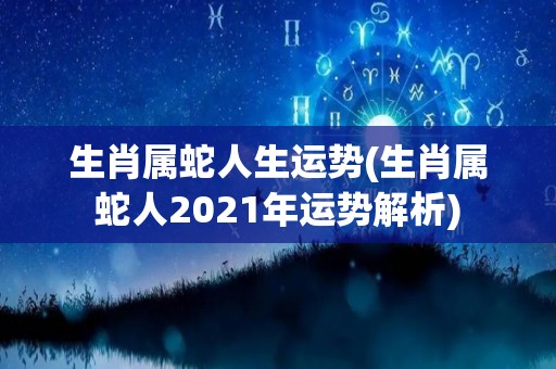 生肖属蛇人生运势(生肖属蛇人2021年运势解析)