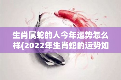 生肖属蛇的人今年运势怎么样(2022年生肖蛇的运势如何？)