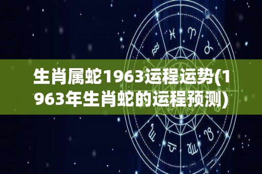 生肖属蛇1963运程运势(1963年生肖蛇的运程预测)