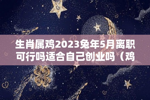 生肖属鸡2023兔年5月离职可行吗适合自己创业吗（鸡在兔年运势2023运势详解）